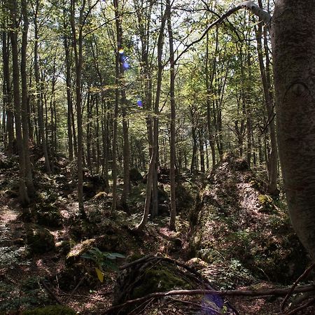 Albergo Parco Della Maiella Sant'Eufemia a Maiella Kültér fotó