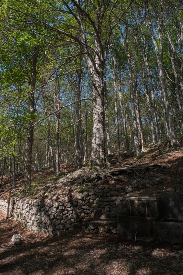 Albergo Parco Della Maiella Sant'Eufemia a Maiella Kültér fotó